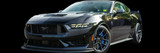 2024-25 Mustang
