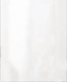 Clear Page Protectors Clear Page Protectors