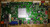 Westinghouse E12080200 Main Board for CW50T9XW Version 1