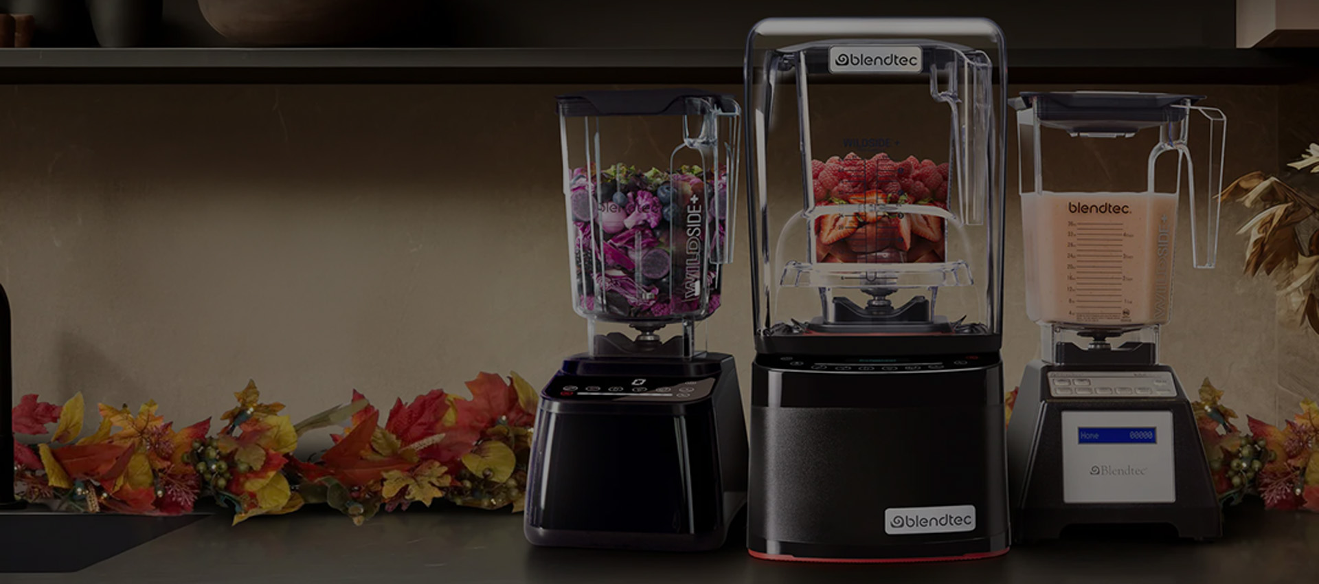 Blendtec Blenders