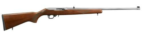 10/22 22LR SS/WD 22"         #