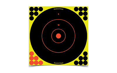 Birchwood Casey B/C SHT-N-C RND Bullseye TGT 12-12"
