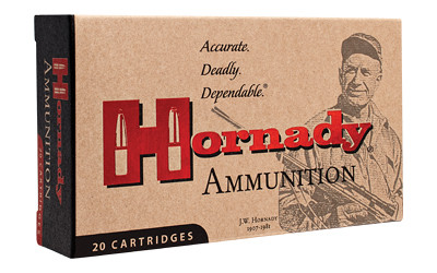 Hornady HRNDY 300BLK 110GR CX 20/200