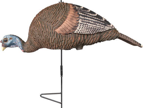 Knight and Hale AND HALE Feeding HEN DECOY With Ground STAKE