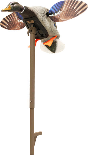 Mojo Outdoors ELITE Series MINI Mallard DRAKE DECOY