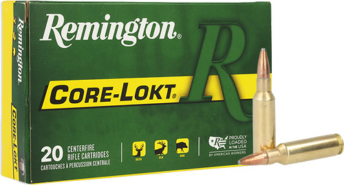Remington Remingtom 300 REM SAUM 165GR Core-lokt PSP 20RD 10BX/Case