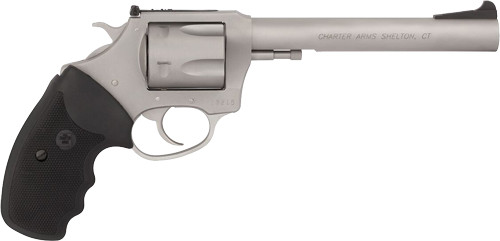 CHARTER ARMS TARGET MAGNUM
