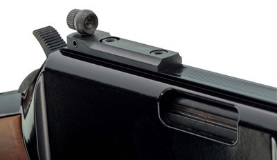 HENRY SMALL GAME CARB 22WMR