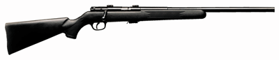 SAVAGE MARK II-FV 17HM2 21"HB