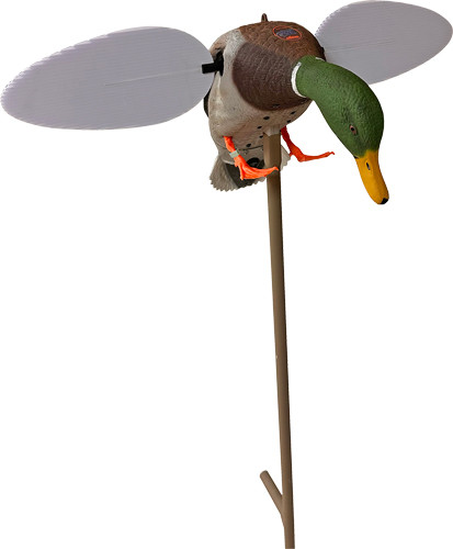 MOJO SILVER MALLARD 25TH