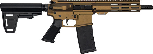 GLFA AR15 PISTOL W/BRACE 223