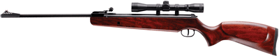 RWS RUGER AIR HAWK RIFLE