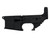 XM15-E2S STRIPPED LOWER REC