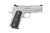ACP 45ACP 4" 8+1 SS