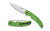 SPYDERCO NATIVE CHF SLT LW GRN SRTD