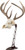 Allen Company EZ MOUNT Centerpiece SKULL STAND