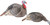 Hunters Specialties HS STRUT Turkey DECOY COMBO Hen/jake Strut-lite