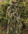 Red Rock Gear ROCK Ghillie SUIT Woodland 5 PIECE ADULT XL/XXL