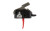 Rise Armament HIGH Performance TRIG AWP