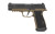 Sig Sauer P365AXG FUSE 9mm 21RD Black/COY