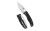 Spyderco Bodacious Black/SLV S30V SRTD