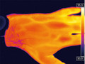 Optris Infrared camera optris PI 450i hand Optris Infrared camera optris PI 450i hand