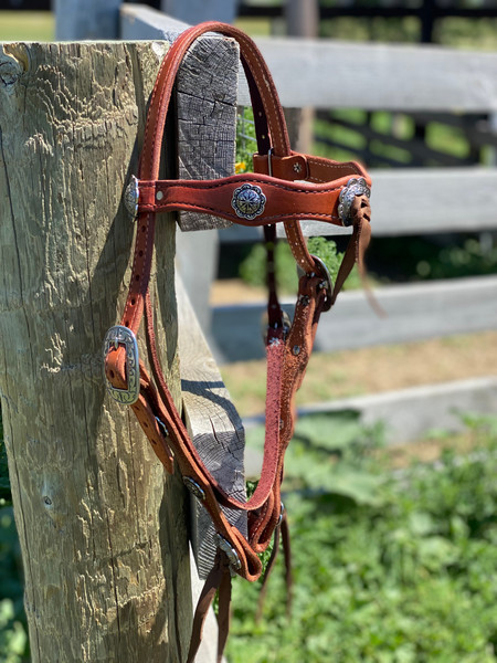 Scallop Headstall with Conchos