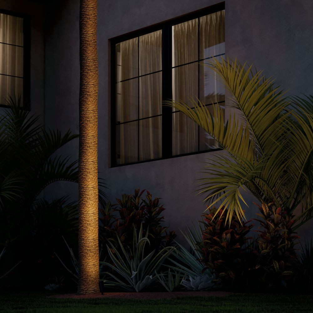 {"pim_id":"147_palmtree_integra_16305bkt27_600_60_mid_night_square_v1_1k","sku":"147_16305","media_type":"media"}