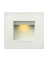 Luna 120V 4W LED Horizontal Double Gang Step Light by Hinkley  - 58506