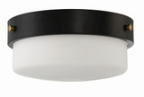 Oak Street 2 Light 13 Inch Wide Flush Mount by Craftmade - X3214