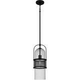 1 Light Small Pendant 19 Inch Tall by Quoizel - QPP6221