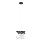 Eos 4 Light Medium Pendant by Hubbardton Forge - 131062HF