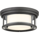 Willow 2 Light 12 Inch Wide Flush Mount by Z-Lite - 426F12