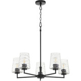 Goodwin 5 Light Large Chandelier by Quorum - 6204-5