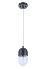 Pill 1 Light Mini Pendant by Craftmade - 55091