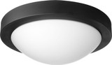 Contempo 2 Light 13 Inch Wide Flush Mount by Quorum - 3505-13