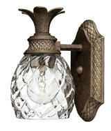 Plantation 1 Light Vanity Light by Hinkley - 5310