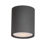 Lightray 15W 1 LED 5 Inch Wide Flush Mount by Maxim - 86104A