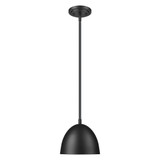 Vega 1 Light Pendant 7 Inch Tall and 8 Inch Wide by Z Lite - 4501P8