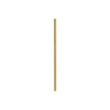 Accessory 12 Inch Stem .5 Inch Diameter by Hinkley 6067 - 6067
