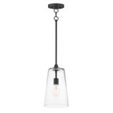 Hudson 1 Light Pendant 14.5 Inch Tall and 7.75 Inch Wide by Maxim - 12886