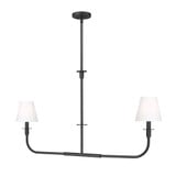 Tova 2 Light Linear Chandelier 23.75 Inch and 45.75 Inch Length by Z Lite - 3049-42L