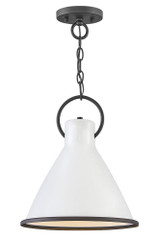 Winnie 1 Light Medium Pendant by Hinkley - 3557