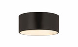 Harley 2 Light 12 Inch Wide Flush Mount by Z-Lite - 2302F2