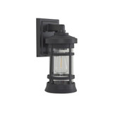 Resilience 1 Light Outdoor Wall Lantern 13 Inch Tall by Craftmade - ZA2304-C