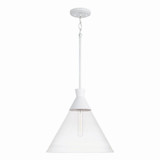 Paloma 1 Light Medium Pendant by Capital - 350311