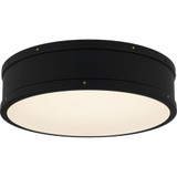 Ahoy Light 16 Inch Wide Flush Mount by Quoizel - QFL5224