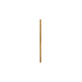 Accessory 12 Inch Stem .5 Inch Diameter by Hinkley 6060 - 6060