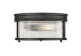 Carnaby 2 Light 13 Inch Wide Flush Mount by Z-Lite - 7504FR13