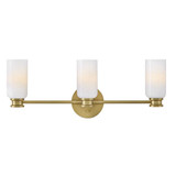 Naomi 15W 3 LED Medium Bath Vanity 9 Inch Tall and 24 Inch Wide by Lark - 85613